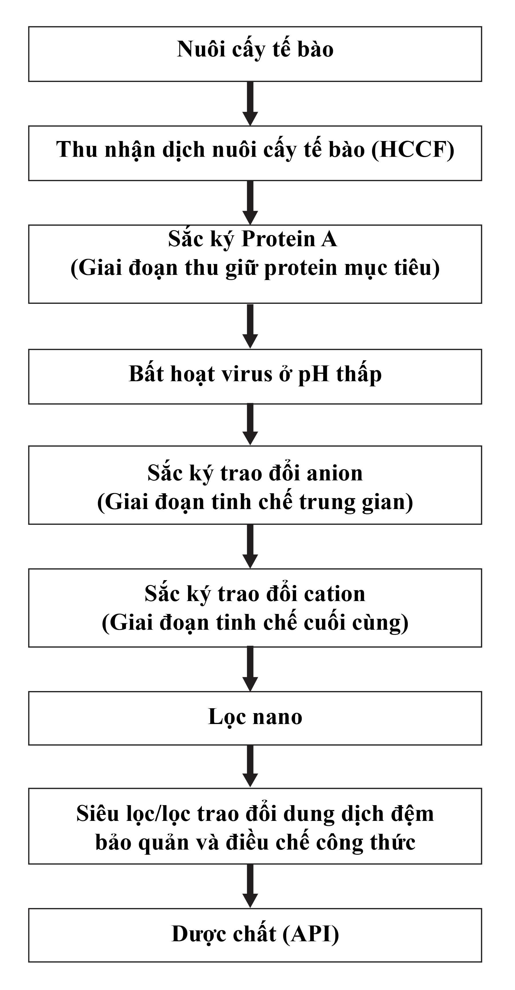 Thời gian trung bình để thực hiện quá trình tinh chế thành công 1 lô kháng thể đơn dòng/protein tái tổ hợp là 5 ngày.