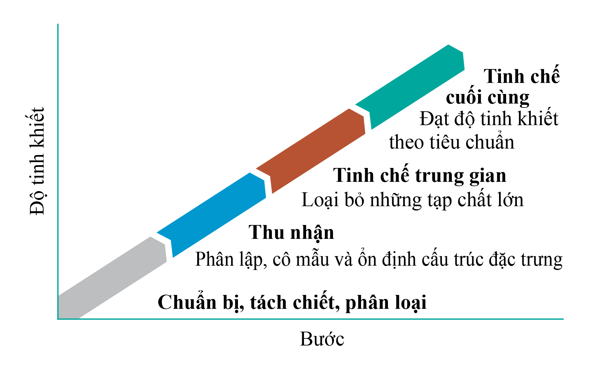 Quy trình tinh chế protein của Nanogen được tối ưu hóa.